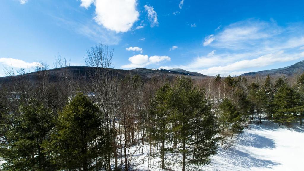 Black Bear Lodge Waterville Valley Eksteriør bilde
